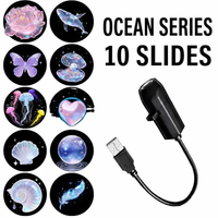 🦋🌊Butterfly & Ocean 10 Scenes